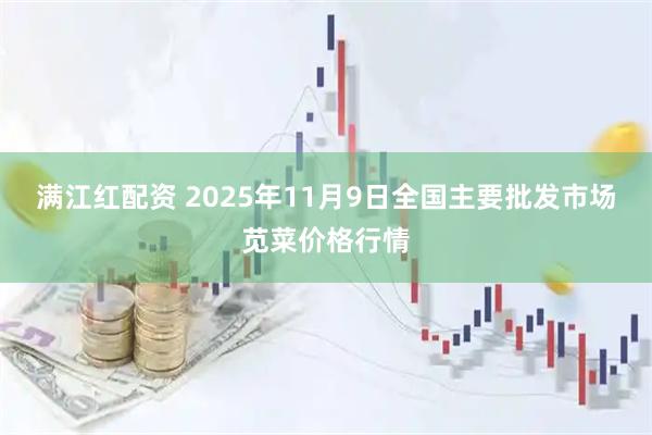 满江红配资 2025年11月9日全国主要批发市场苋菜价格行情