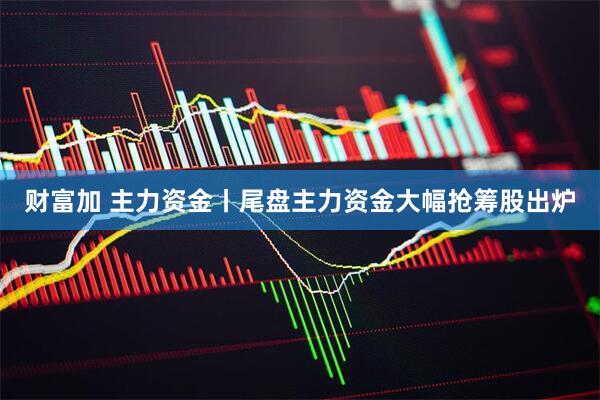 财富加 主力资金丨尾盘主力资金大幅抢筹股出炉