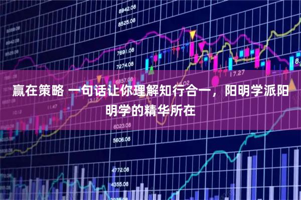 赢在策略 一句话让你理解知行合一，阳明学派阳明学的精华所在